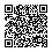 WPT Global QR Code